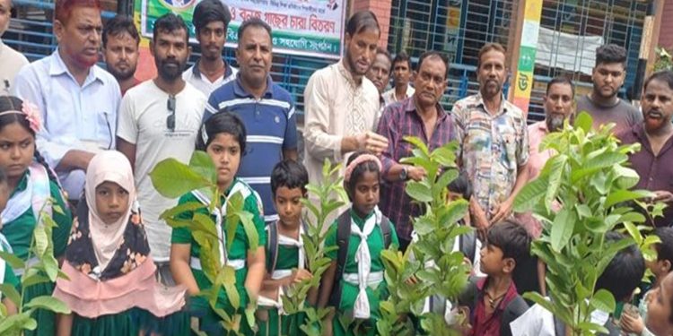 টাঙ্গাইলে শিক্ষার্থীদের মাঝে বিএনপির গাছের চারা বিতরণ