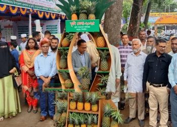 টাঙ্গাইলের মধুপুরে তিন দিনব্যাপী কৃষি মেলা শুরু দর্শনার্থীদের ভিড়
