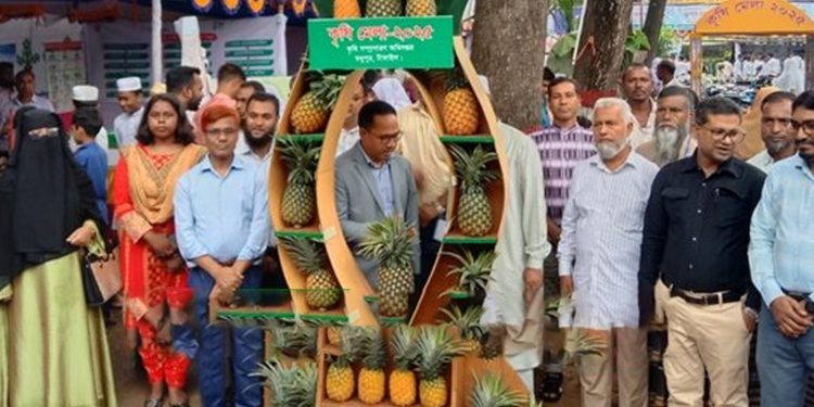 টাঙ্গাইলের মধুপুরে তিন দিনব্যাপী কৃষি মেলা শুরু দর্শনার্থীদের ভিড়