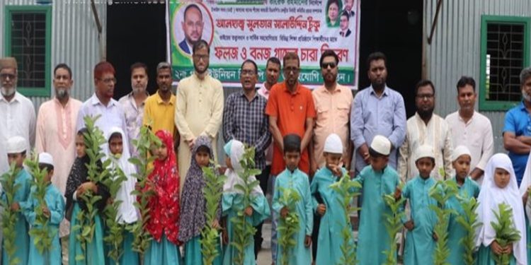 টাঙ্গাইলে সবুজের ডাক: শিক্ষার্থীদের মাঝে চারা বিতরণ