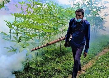 টাঙ্গাইল জেলা কারাগারে মশা নিধন ও পরিচ্ছন্নতা অভিযান