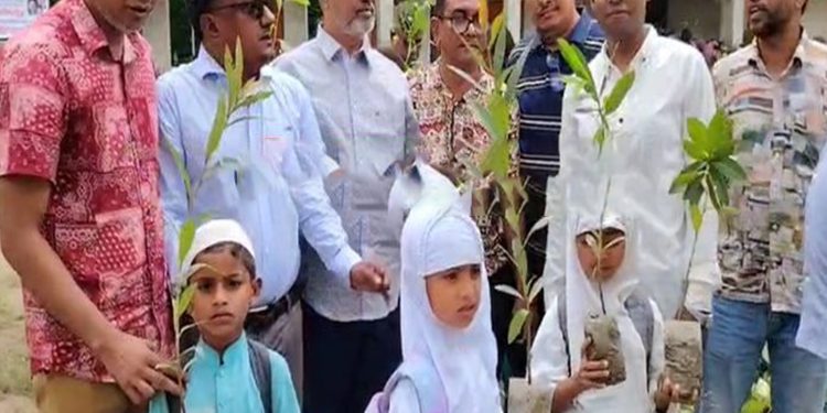টাঙ্গাইলে পরিবেশ রক্ষায় স্কুল-কলেজে বিএনপির বৃক্ষরোপণ কর্মসূচি