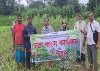 সখীপুরে পরিবেশবান্ধব উদ্যোগ: ৫৩ হাজার ইউক্যালিপটাস ও আকাশমণি চারা ধ্বংস