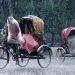 আগামী পাঁচ দিন সারা দেশে টানা বৃষ্টি চার বিভাগে অতিভারি বর্ষণের শঙ্কা