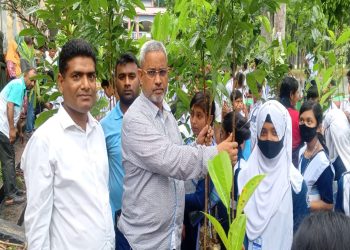 পরিবেশের ভারসাম্য রক্ষায় টাঙ্গাইলে জাহ্নবী উচ্চ বিদ্যালয় বিনামূল্যে গাছের চারা বিতরণ