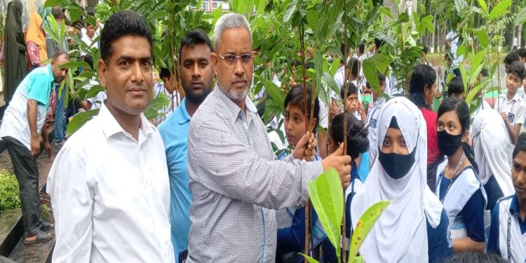 পরিবেশের ভারসাম্য রক্ষায় টাঙ্গাইলে জাহ্নবী উচ্চ বিদ্যালয় বিনামূল্যে গাছের চারা বিতরণ