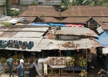 সখীপুরে কৃষি বিভাগের কোটি টাকার জমি বেদখল প্রশাসনের নজরদারি নেই