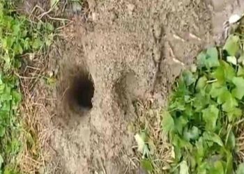 টাঙ্গাইলের মির্জাপুরে ক'ব'র খুঁড়ে ৬টি ক'ঙ্কা'ল চু'রি