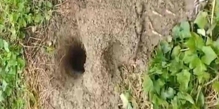 টাঙ্গাইলের মির্জাপুরে ক'ব'র খুঁড়ে ৬টি ক'ঙ্কা'ল চু'রি