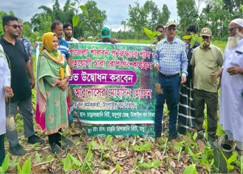 মধুপুরে হারানো শালবন ফিরিয়ে আনতে শুরু গৃহ জরিপ ও বন পুনঃস্থাপন প্রকল্প