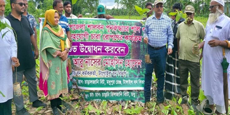 মধুপুরে হারানো শালবন ফিরিয়ে আনতে শুরু গৃহ জরিপ ও বন পুনঃস্থাপন প্রকল্প