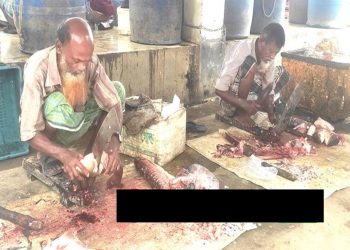 গোপালপুর মাছ কেটে জীবন চালান দুই প্রবীণ আশায় সহানুভূতির হাত