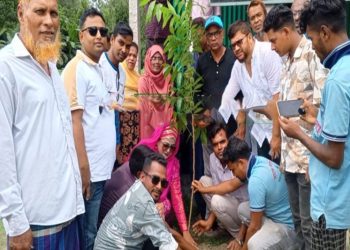 টাঙ্গাইলে বিএনপির উদ্যোগে বৃক্ষরোপণ কর্মসূচি ও চারা বিতরণ