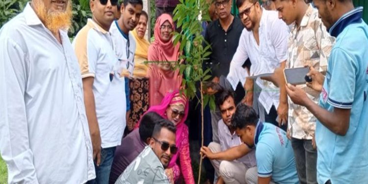 টাঙ্গাইলে বিএনপির উদ্যোগে বৃক্ষরোপণ কর্মসূচি ও চারা বিতরণ
