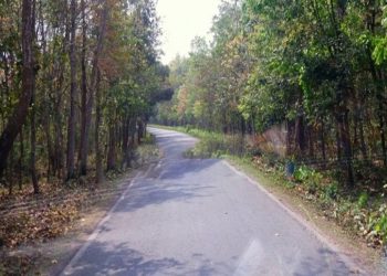 মধুপুর বনের সড়কে গাড়ি চাপায় অজ্ঞাত বৃদ্ধার মৃ'ত্যু