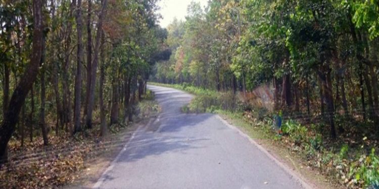 মধুপুর বনের সড়কে গাড়ি চাপায় অজ্ঞাত বৃদ্ধার মৃ'ত্যু