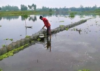 ঘাটাইলে ছড়িয়ে পড়ছে চায়না জাল হু'মকিতে দেশীয় মাছ