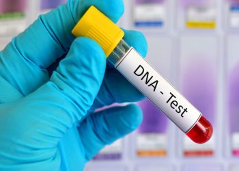 উত্তরায় বিমান দুর্ঘটনায় নি'হত ৫ জনের পরিচয় শনাক্ত ডিএনএ টেস্টে