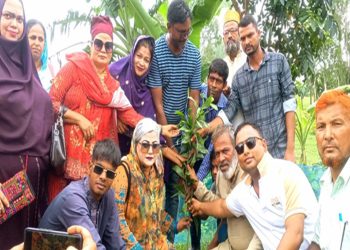 টাঙ্গাইলে পরিবেশ রক্ষায় বিএনপির গাছের চারা বিতরণ