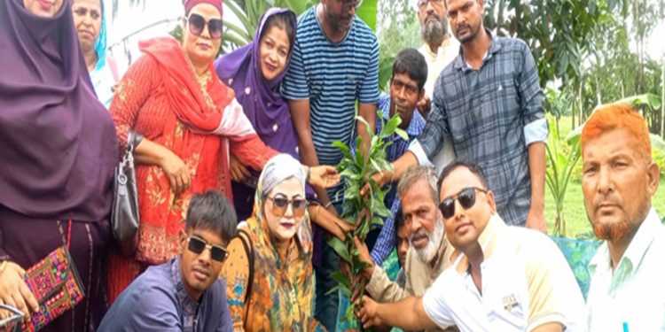টাঙ্গাইলে পরিবেশ রক্ষায় বিএনপির গাছের চারা বিতরণ