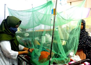 গত ২৪ ঘণ্টায় ডেঙ্গুতে ৩১৭ জন আক্রান্ত