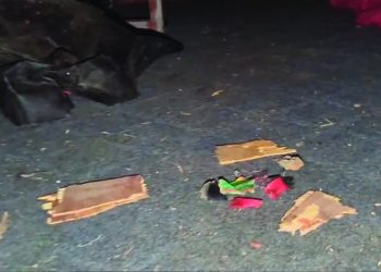 রাজধানীর বাংলামোটরে এনসিপি কার্যালয়ের সামনে ক'কটেল বিস্ফোরণ