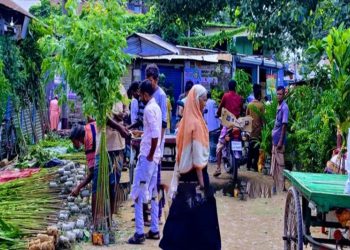টাঙ্গাইলে নিষিদ্ধ ইউক্যালিপটাস-আকাশমণি চারা বিক্রি চলছে অবাধে
