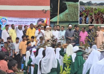 জলবায়ু পরিবর্তন রোধে গাছ লাগাতে হবে - ফরহাদ ইকবাল