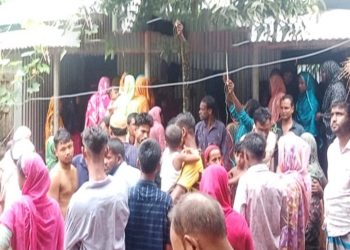 মধুপুরে বিদ্যুৎস্পৃষ্ট হয়ে নাতনির মৃ'ত্যু দাদিকে বাঁচাতে গিয়ে প্রাণ গেল