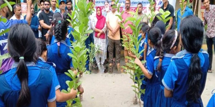 টাঙ্গাইলে বিএনপির উদ্যোগে শিক্ষা প্রতিষ্ঠানে বিনামূল্যে গাছের চারা বিতরণ