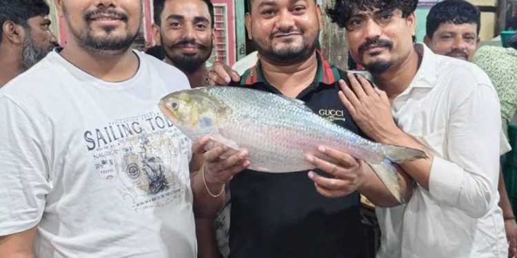 এক ইলিশ বিক্রি ৯ হাজার ৫৫০ টাকা