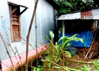 গোপালপুরে ভাইদের নির্যাতনে বাড়ি ছাড়তে বাধ্য নারী