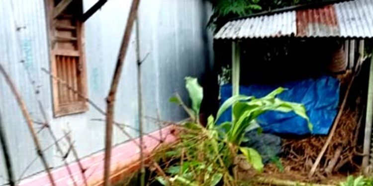 গোপালপুরে ভাইদের নির্যাতনে বাড়ি ছাড়তে বাধ্য নারী
