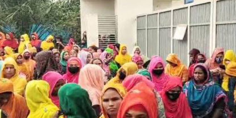 মির্জাপুরে বার্ডস অ্যান্ড জেড গার্মেন্টসের উৎপাদন বন্ধ ঘোষনায় শ্রমিকদের বিক্ষোভ