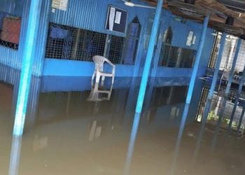 মির্জাপুর পৌরসভায় ড্রেনেজ সংকটে জলাবদ্ধতা দুর্ভোগে নগরবাসী