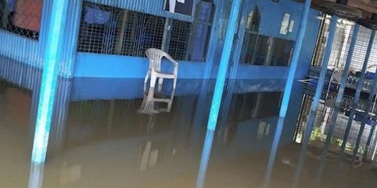 মির্জাপুর পৌরসভায় ড্রেনেজ সংকটে জলাবদ্ধতা দুর্ভোগে নগরবাসী