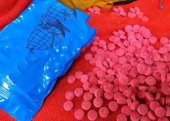 মির্জাপুরে ই'য়া'বা'স'হ দুই মা'দ'ক ব্যবসায়ী গ্রে'প্তা'র