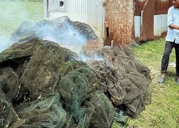 ঘাটাইলে ৪ লাখ টাকার ১৫০টি চায়না জাল পুড়িয়ে ধ্বংস