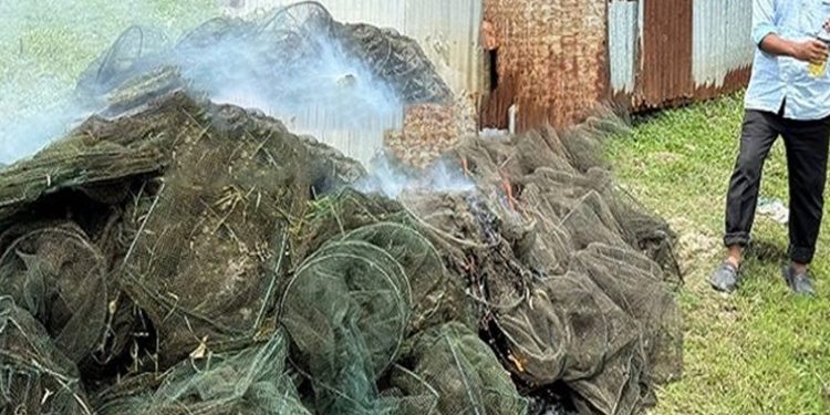 ঘাটাইলে ৪ লাখ টাকার ১৫০টি চায়না জাল পুড়িয়ে ধ্বংস