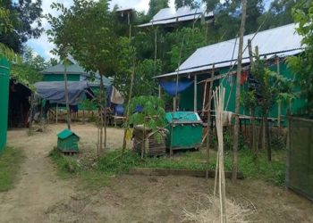 টাঙ্গাইলে চেয়ারম্যানের বিরুদ্ধে সামাজিক বনায়নের জমি বিক্রির অভিযোগ