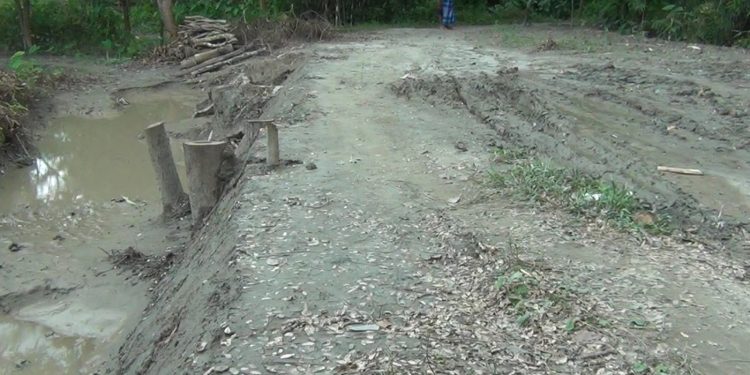 নাগরপুরে সরকারি রাস্তা দখল করতে মরিয়া ইউপি সদস্য সুনিল
