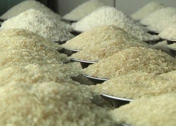 দেশে ৫ লাখ মেট্রিকটন চাল আমদানির অনুমোদন দিল খাদ্য মন্ত্রণালয়