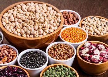 ডাল ভিজিয়ে রাখার সঠিক নিয়ম ও উপকারিতা