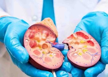 কিডনি ও পিত্তথলির পাথর: কারণ উপসর্গ ও প্রতিরোধের কার্যকর উপায়