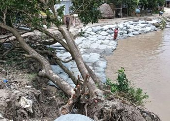 পদ্মা নদীর ভাঙনে দৌলতদিয়ার তিন ফেরিঘাট ঝুঁকিতে আতঙ্কে স্থানীয়রা