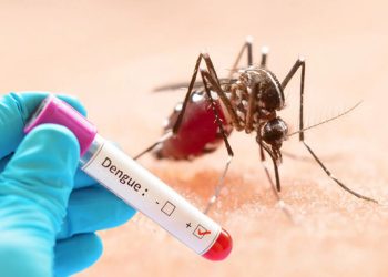 ডেঙ্গুতে আরও ৪৩২ জন আক্রান্ত চলতি বছরে মোট সংখ্যা ছাড়াল ৩০ হাজার