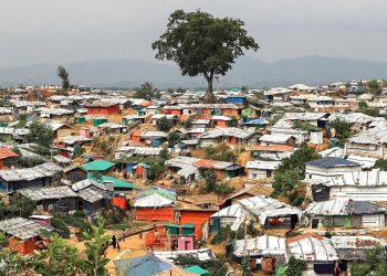 রোহিঙ্গা বাড়ছে ব্যাপকহারে