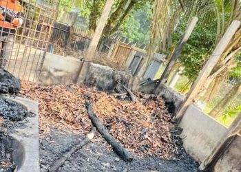 টাঙ্গাইল সখীপুরে কয়েল থেকে আ'গু'ন পুড়ে ছাই হলো এক কৃষকের চারটি গরু