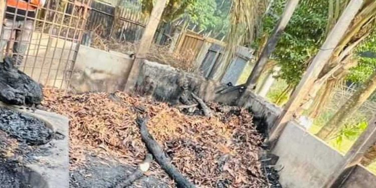 টাঙ্গাইল সখীপুরে কয়েল থেকে আ'গু'ন পুড়ে ছাই হলো এক কৃষকের চারটি গরু