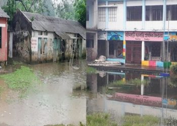 মির্জাপুরে জলাবদ্ধতায় বিপাকে দুই সরকারি প্রাথমিক বিদ্যালয়ের ৮০০ শিক্ষার্থী